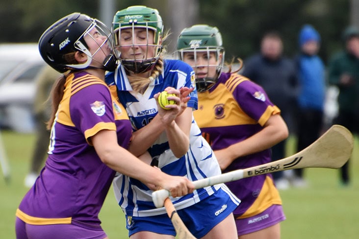 Jun B camogie final: Disappointment for O'Mahony's