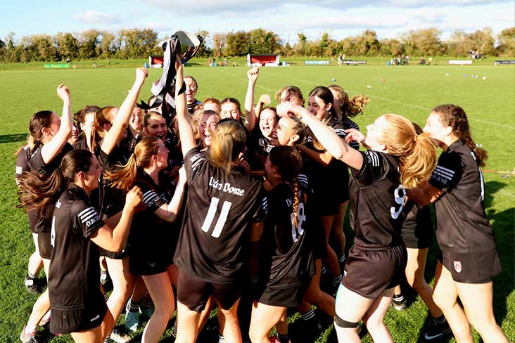 Camogie: Dunderry's Provincial journey ends
