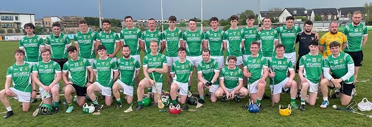 Leinster title for Donaghmore Ashbourne - HoganStand