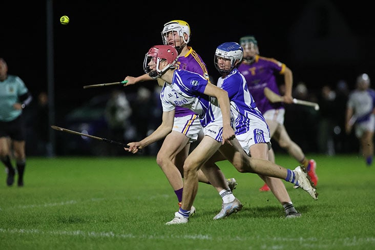 U16 Division 2 Cup final: Lahart leads Kildalkey to victory