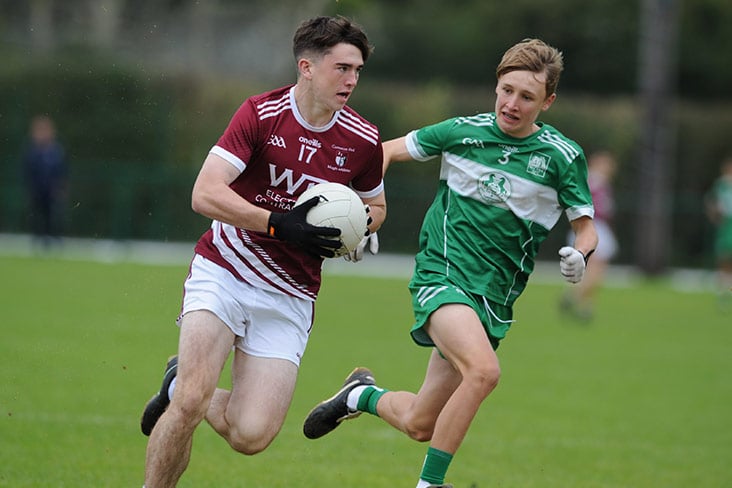 U16 Div 4 Cup final: Honours for Moynalvey