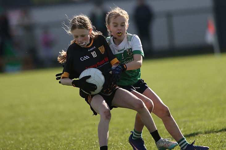 Cumann na mBunscol: Kilskyre and Moylagh inseparable after 12-goal thriller