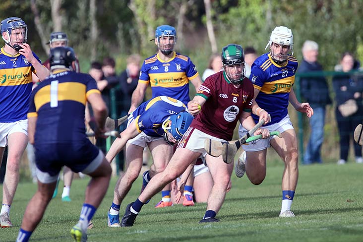 SHC semi final: Kiltale down holders to set up final date with Kilmessan
