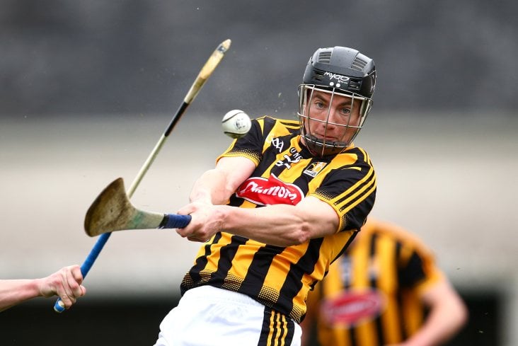 Four-time All-Ireland winner Ruth joins Kildare hurling management team