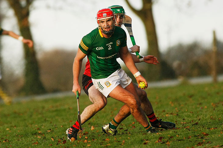Bulfin names new look Royal side - HoganStand