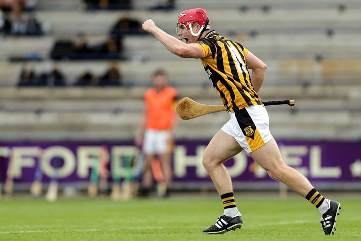 Shelmaliers hold off Rathnure fightback to secure Wexford SHC triumph