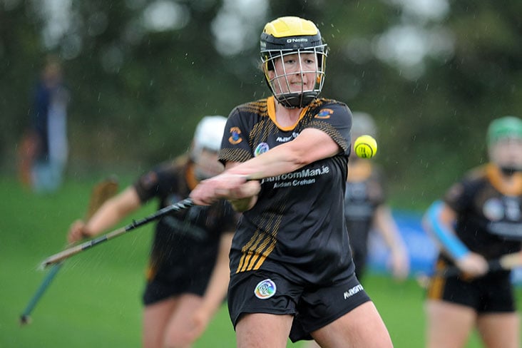 Camogie: round 3 fixtures