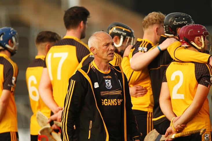 Cole takes Meath hurling reins