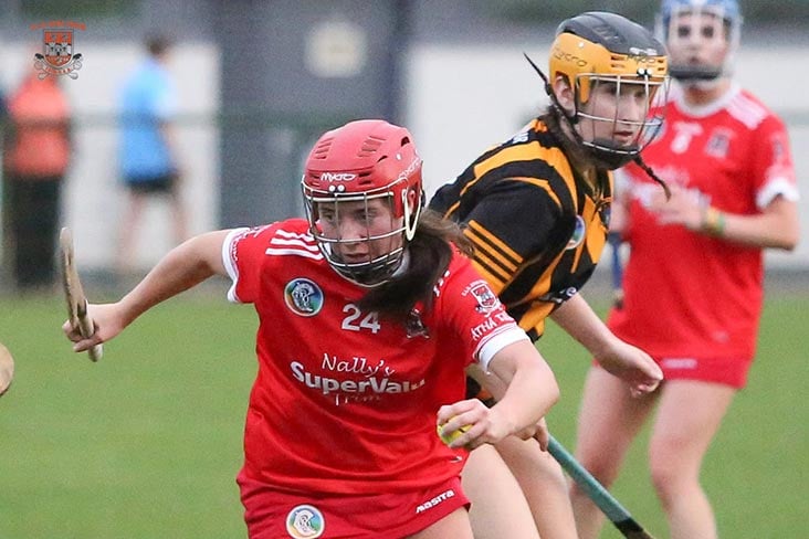 Camogie: round 3 round up