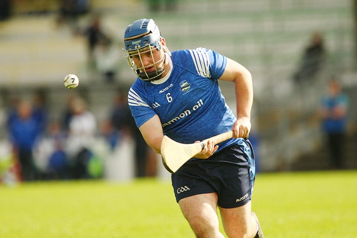 HL Div 5: Kildalkey too strong for Dunderry - HoganStand