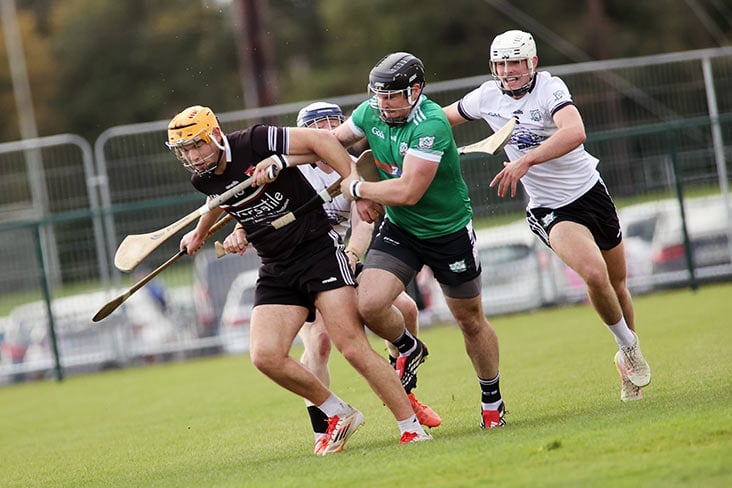 SHC B semi final: Dunderry delight at Devenish Park