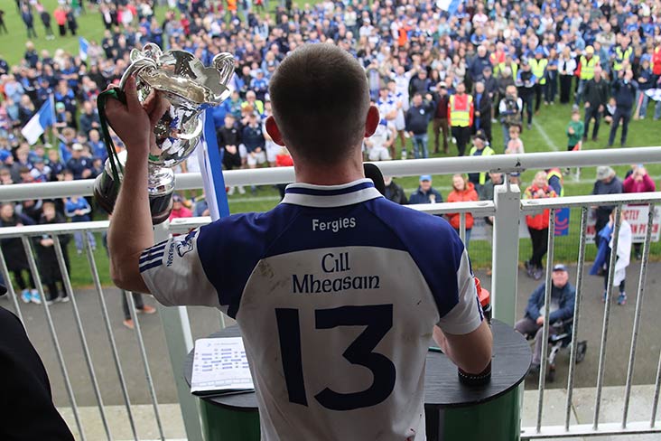 Hurling championship round up