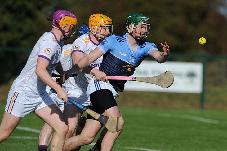 IHC B final: Maiden title for Boardsmill