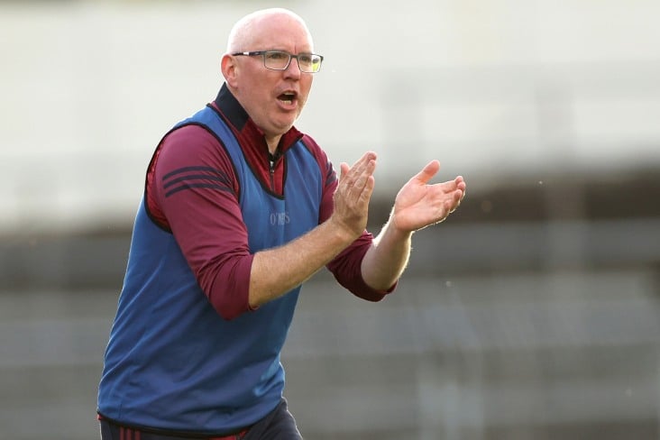 Hanley departs as Roscommon senior hurling manager