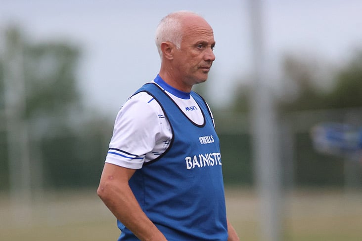 Cole takes Meath hurling reins