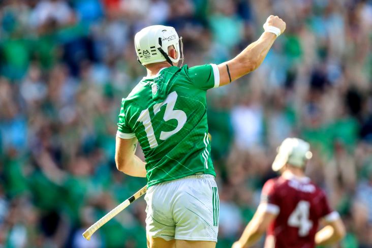 Confirmed: Limerick Allianz hurling and football league fixtures for 2023  season - Limerick Live