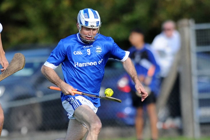 IHC B relegation final: Kildalkey survive