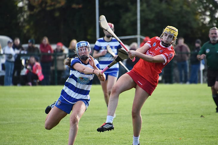 Sen B camogie final: Trim too strong for O'Mahony's