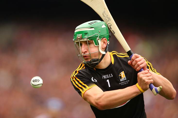 Murphy reveals Shefflin tried to persuade him to play on for Kilkenny